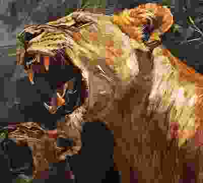 Portfolio Taxonomy Image