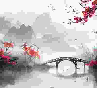 Portfolio Taxonomy Image