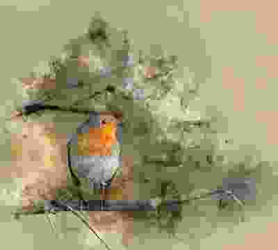 Portfolio Taxonomy Image