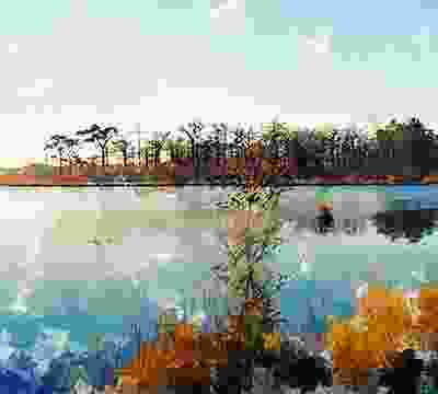 Portfolio Taxonomy Image